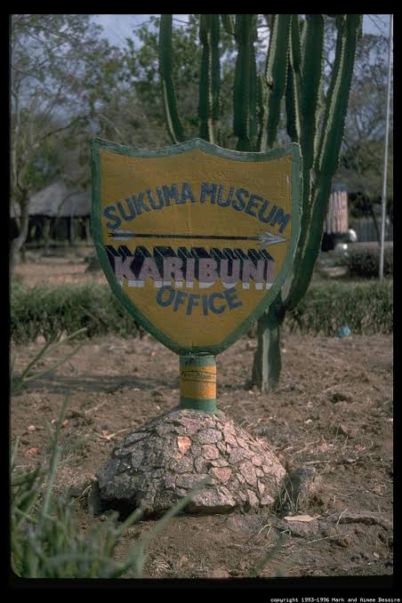 Traditional Healer's House
