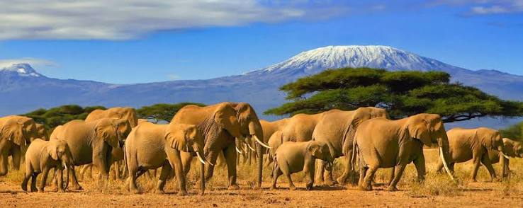 Prepare for your Tanzania journey