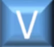 Volunteer Consulting Services