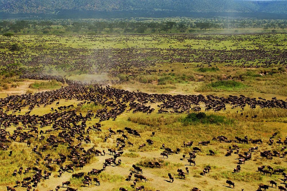 Serengeti National Park