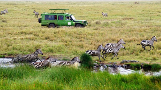 Lake Victoria wetland near Mwanza
