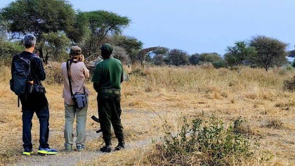Wildlife and environmental conservation volunteers