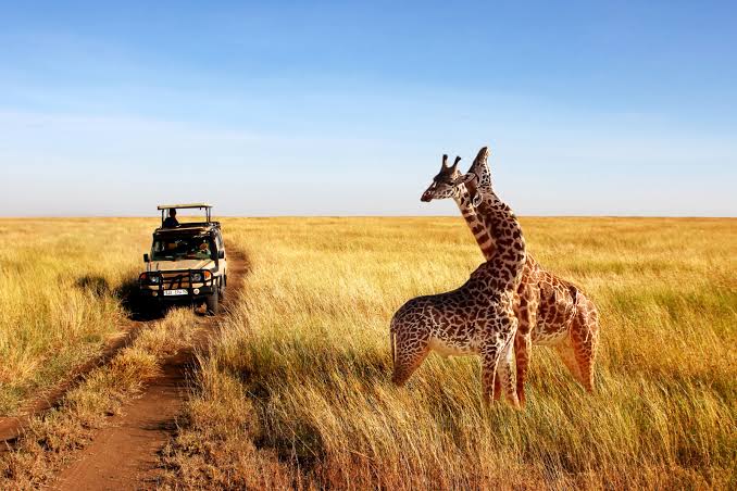 Tanzania tours